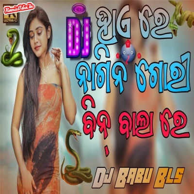 Hai Re Nagin Guri Odia Dj